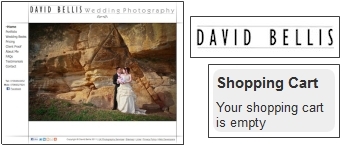 David Bellis Wedding Photography